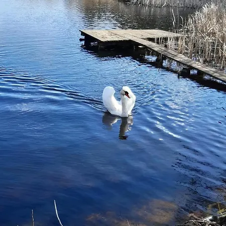 Całoroczny Magjan Z Sauną