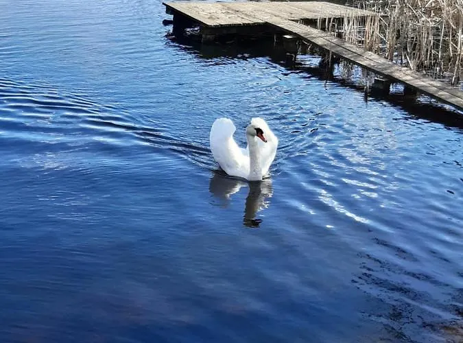 Caloroczny Magjan Z Sauna I Jacuzzi Na Wylacznosc
